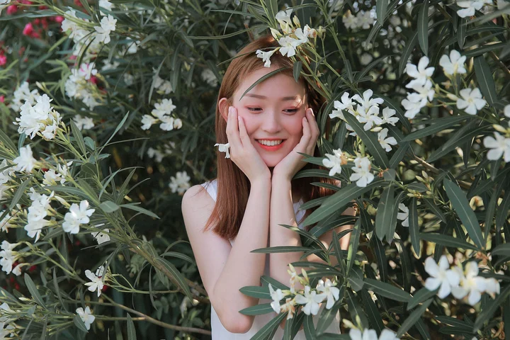 【Wind in summer】