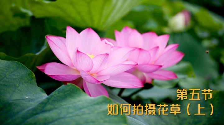手机摄影课第五节