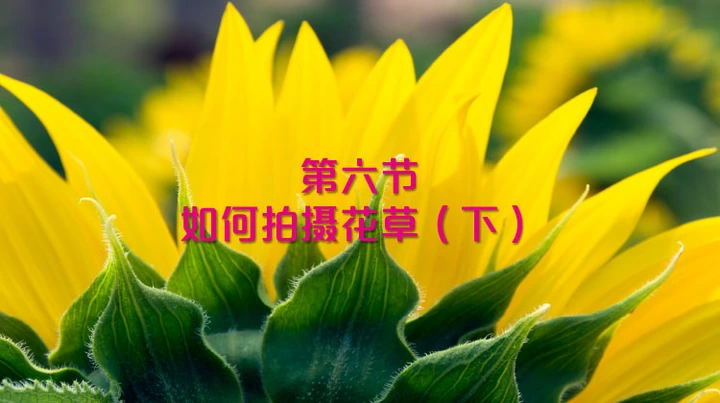 手机摄影课第六节