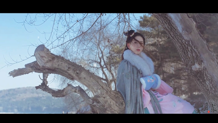 视频赏析：雪中行，惆怅吟