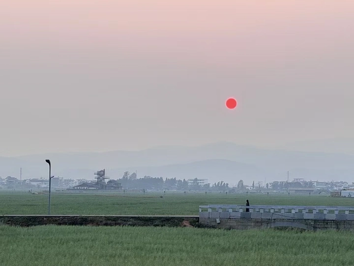 田野春的诗