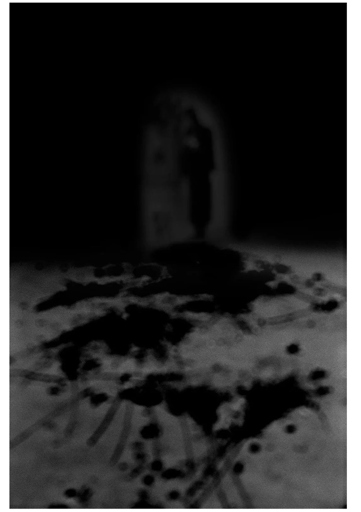 千又一：摄影可以是胡说八道…