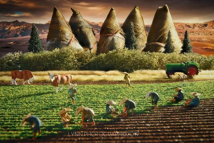 2019米拍摄影奖•十佳创意生活摄影师