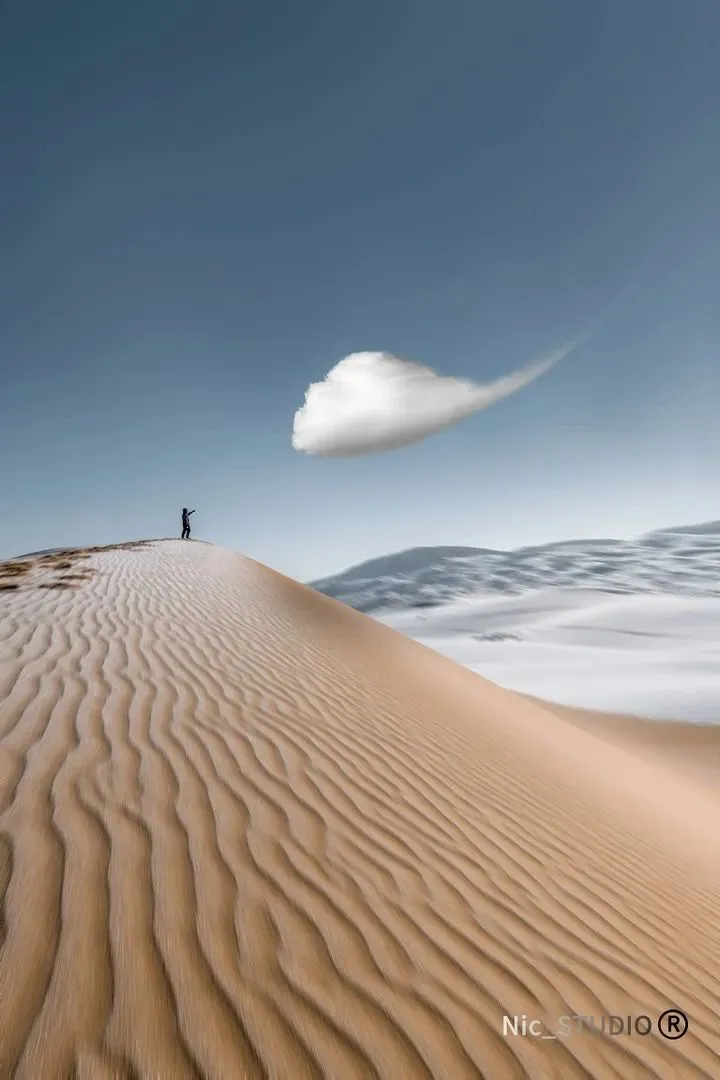 2019米拍摄影奖•十佳创意生活摄影师