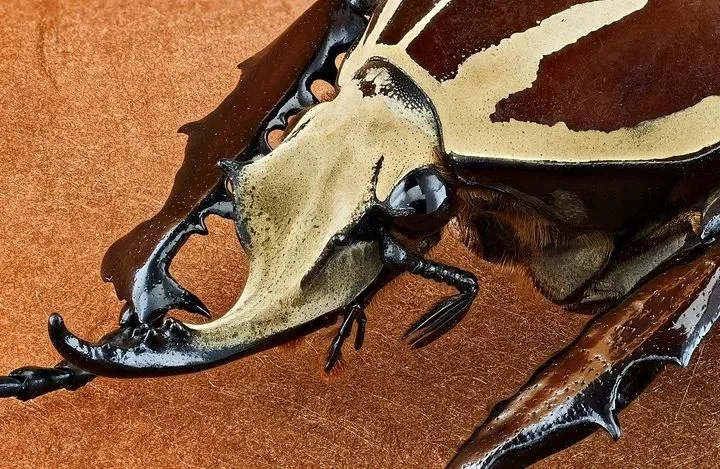 2019米拍摄影奖•十佳创意生活摄影师