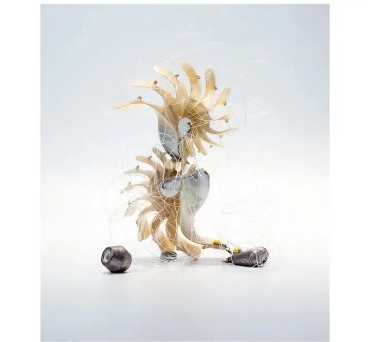 2019米拍摄影奖•十佳创意生活摄影师