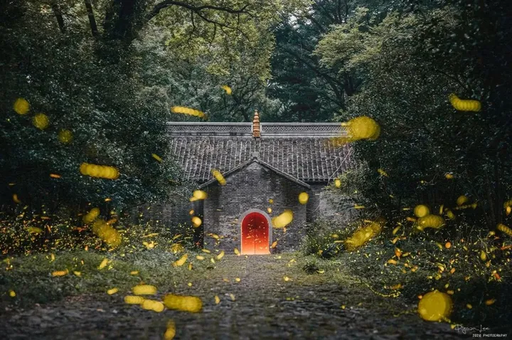 橙色预警,最炫夏日摄影风暴即将引爆成都!