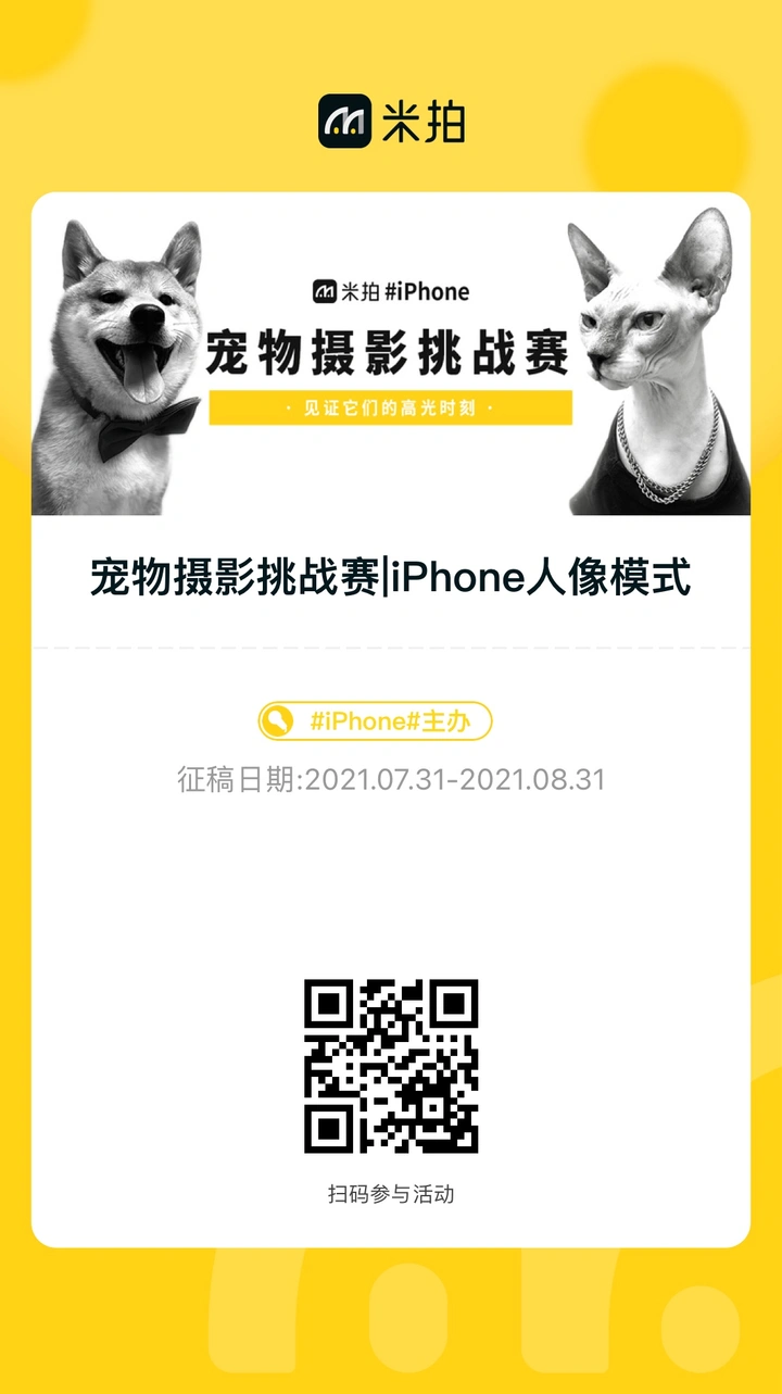 人像模式只能拍人?毛孩子们表示不服!