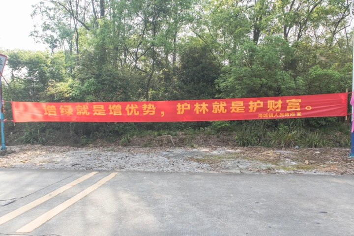 条幅,是这片土地独有的社会景观。