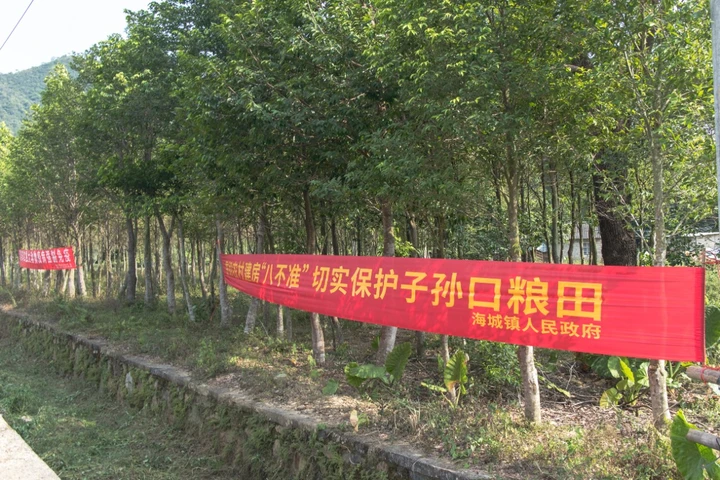 条幅,是这片土地独有的社会景观。