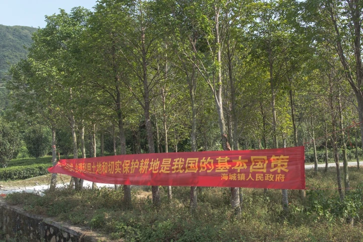 条幅,是这片土地独有的社会景观。