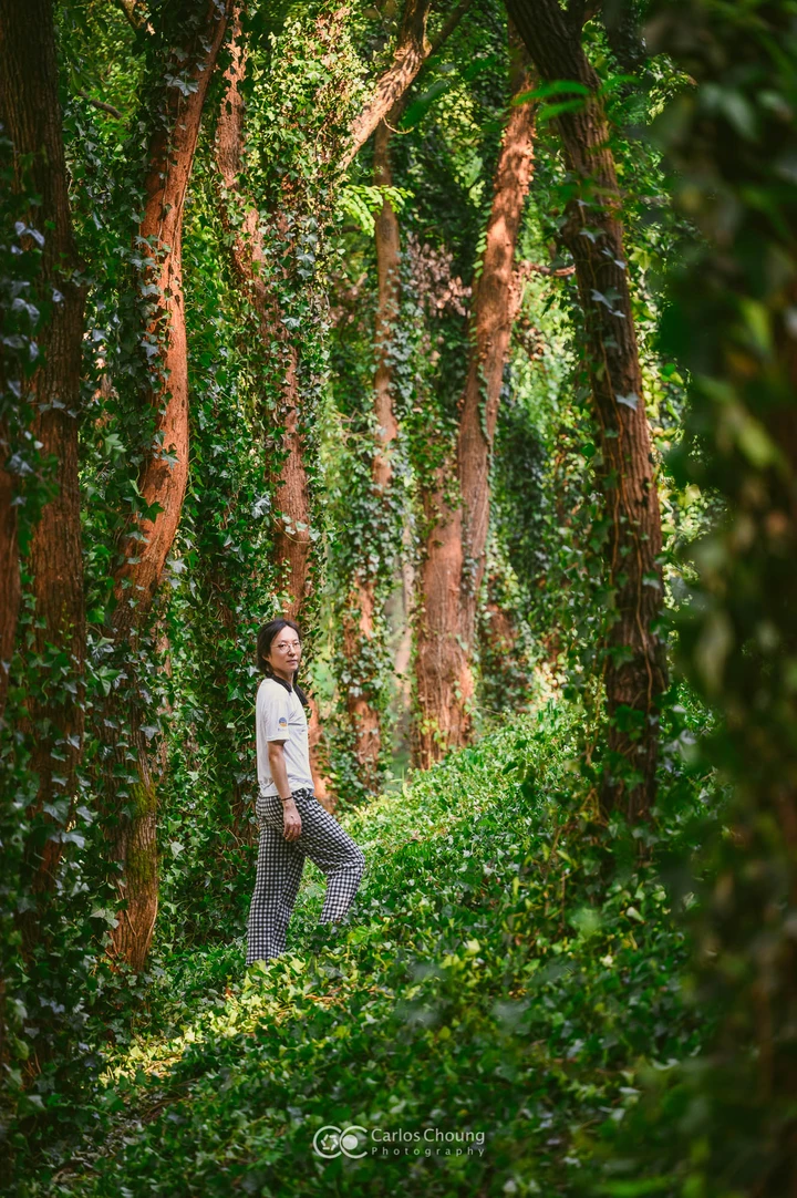 夏日植物园的美好早上