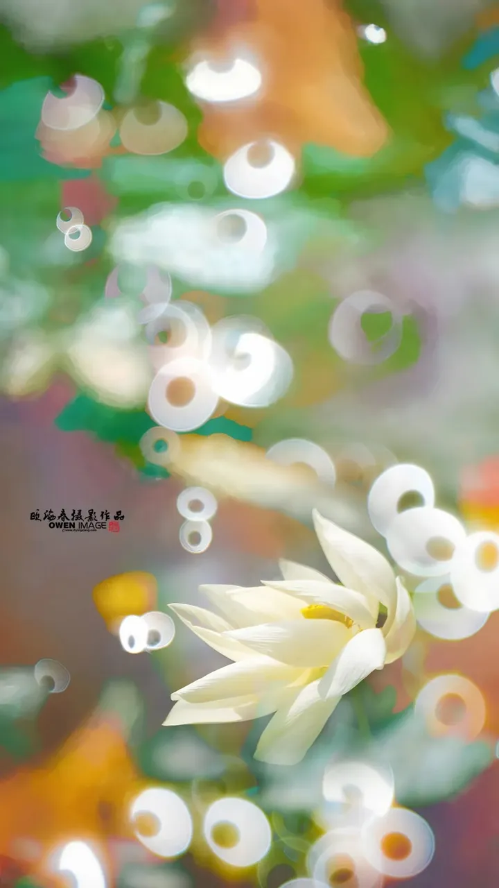 十个荷花九个俗？试试这种别具一致的拍荷手