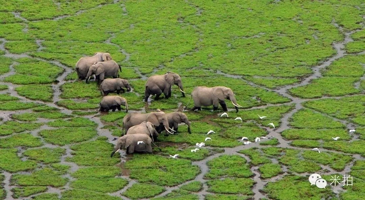 米拍同城会 | 与江一燕“在时光里流浪”