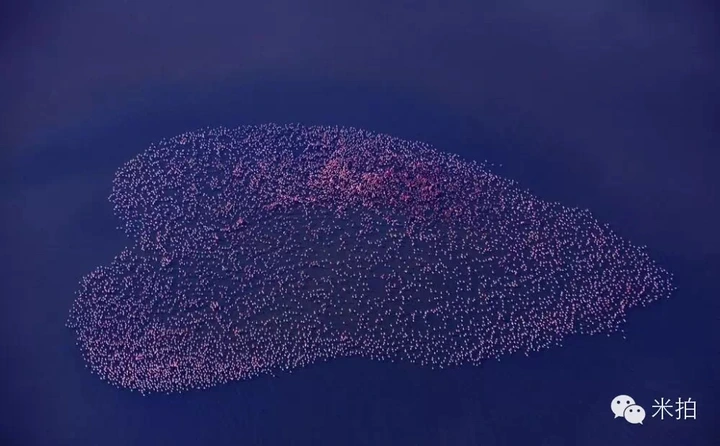 米拍同城会 | 与江一燕“在时光里流浪”