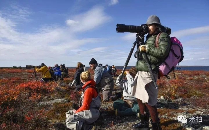 米拍同城会 | 与江一燕“在时光里流浪”