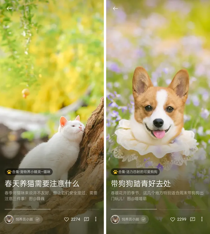 最新活动来袭,OPPO“推荐有礼”等你参与丨米拍锁屏总结(2023年2月)