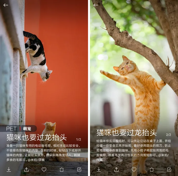 最新活动来袭,OPPO“推荐有礼”等你参与丨米拍锁屏总结(2023年2月)