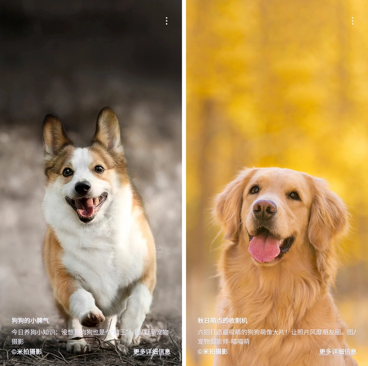 有米计划2023年Q3收益结算啦！丨米拍锁屏总结（2023年10月）