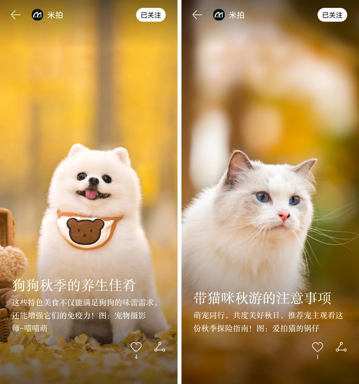 有米计划2023年Q3收益结算啦！丨米拍锁屏总结（2023年10月）