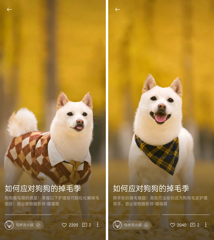 有米计划2023年Q3收益结算啦！丨米拍锁屏总结（2023年10月）