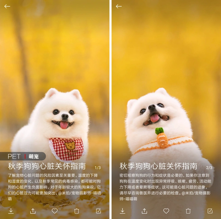 有米计划2023年Q3收益结算啦！丨米拍锁屏总结（2023年10月）