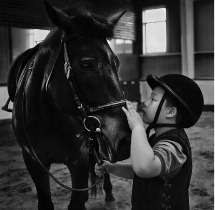 影会精彩 | 大咖面对面(国内)