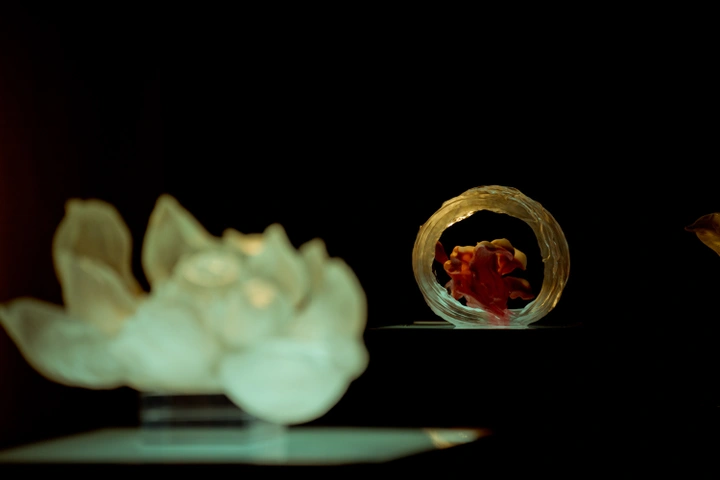 赏琉璃、品法餐,和奥迪一起邂逅闲暇的优雅魔都