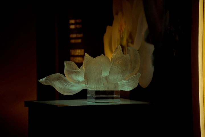 赏琉璃、品法餐,和奥迪一起邂逅闲暇的优雅魔都