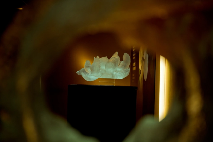 赏琉璃、品法餐,和奥迪一起邂逅闲暇的优雅魔都