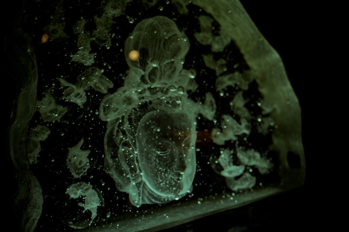 赏琉璃、品法餐,和奥迪一起邂逅闲暇的优雅魔都