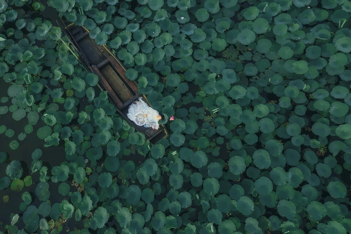 赏荷拍照打卡地