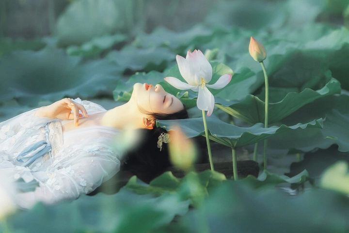 赏荷拍照打卡地