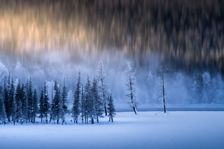 领略喀纳斯风光