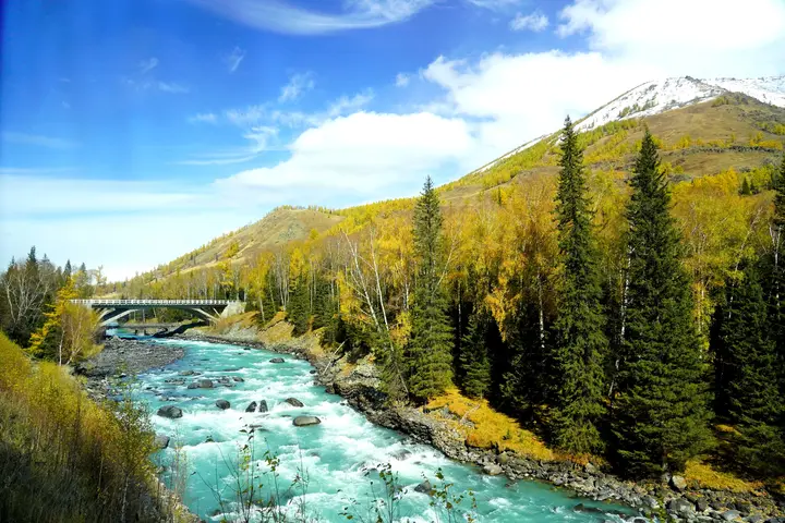 领略喀纳斯风光