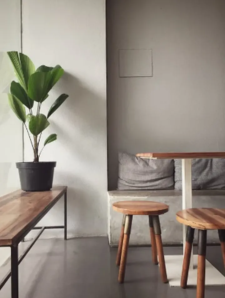 绿植摆放的大学问