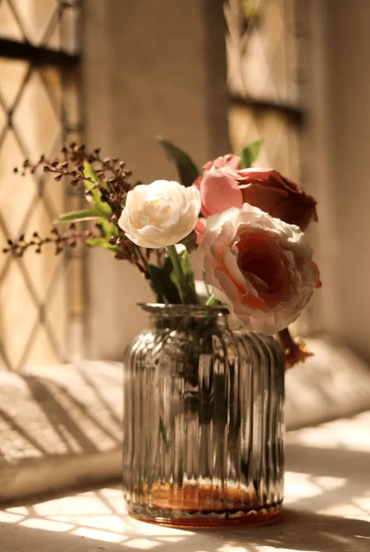 你真的会养花吗