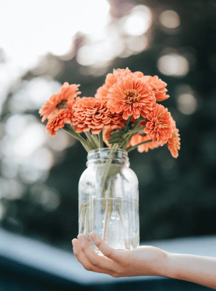 你真的会养花吗