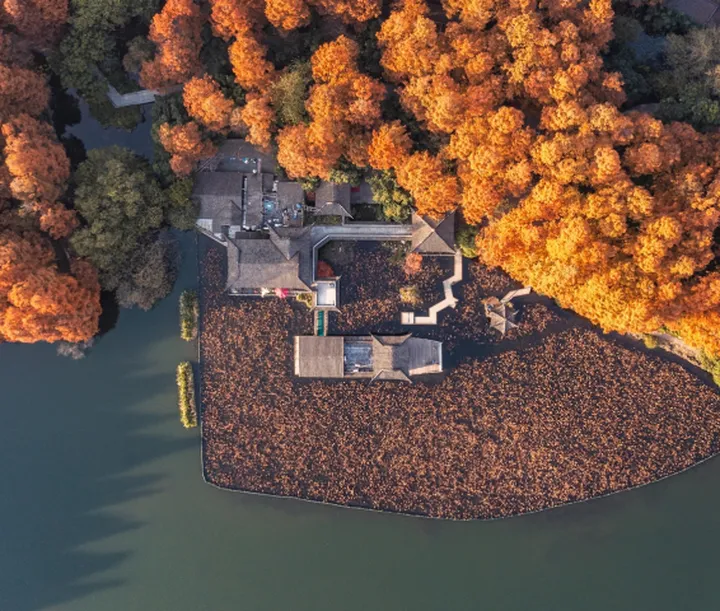 西湖四季,各有千秋