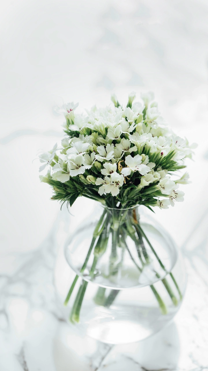 如何插花好看又简单?