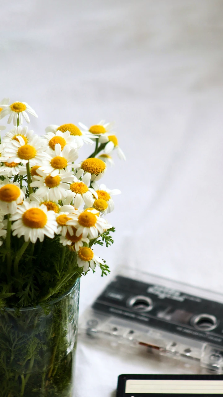 新手必看鲜花摄影方法