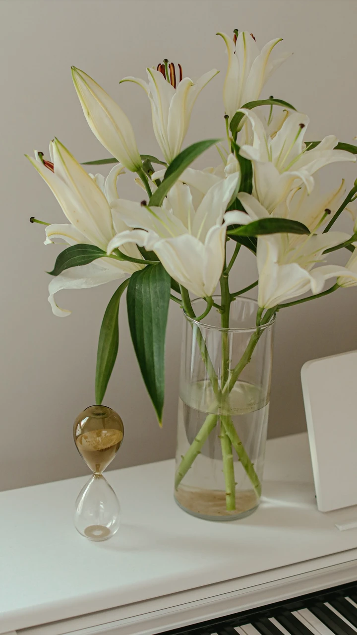 小白必看的插花技巧