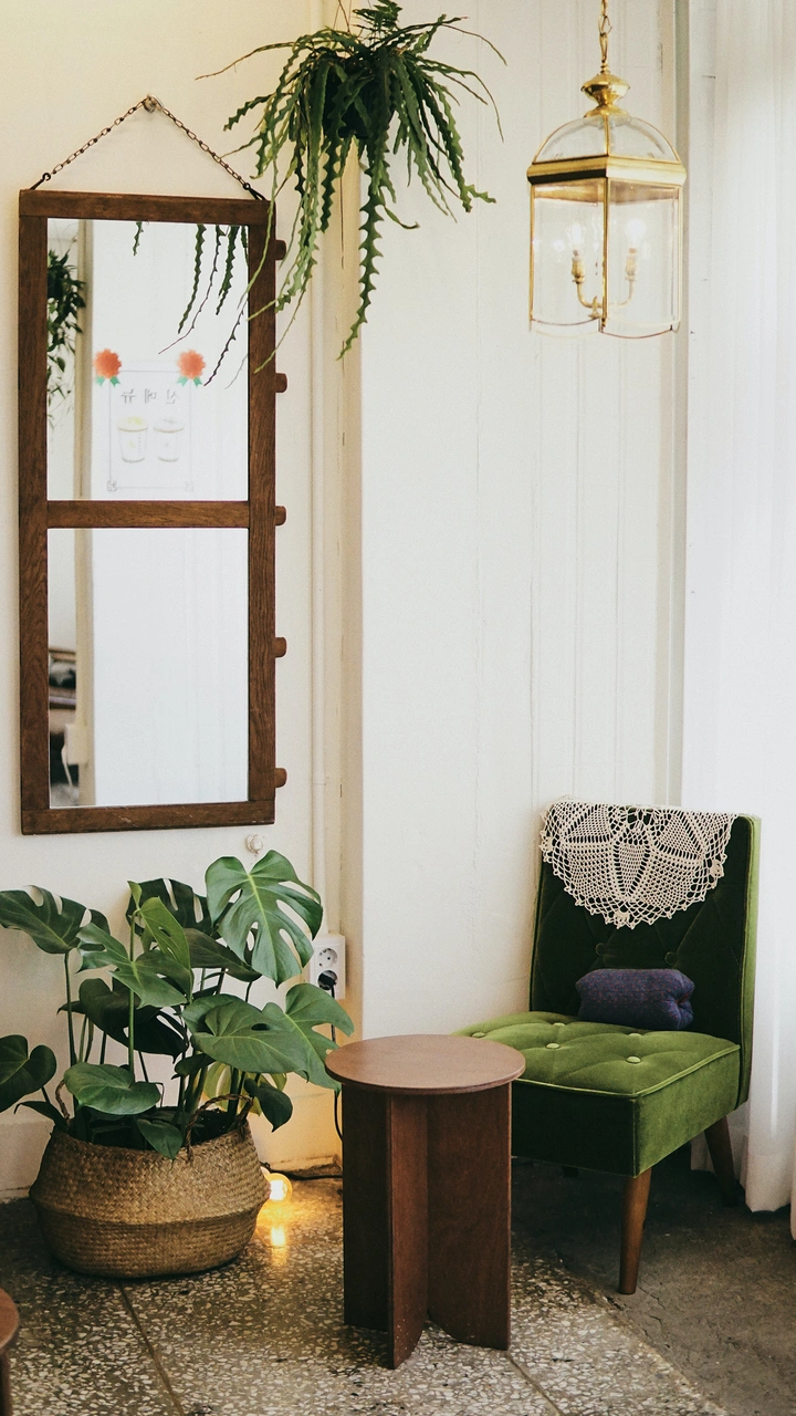 如何巧用绿植营造出家居氛围感?