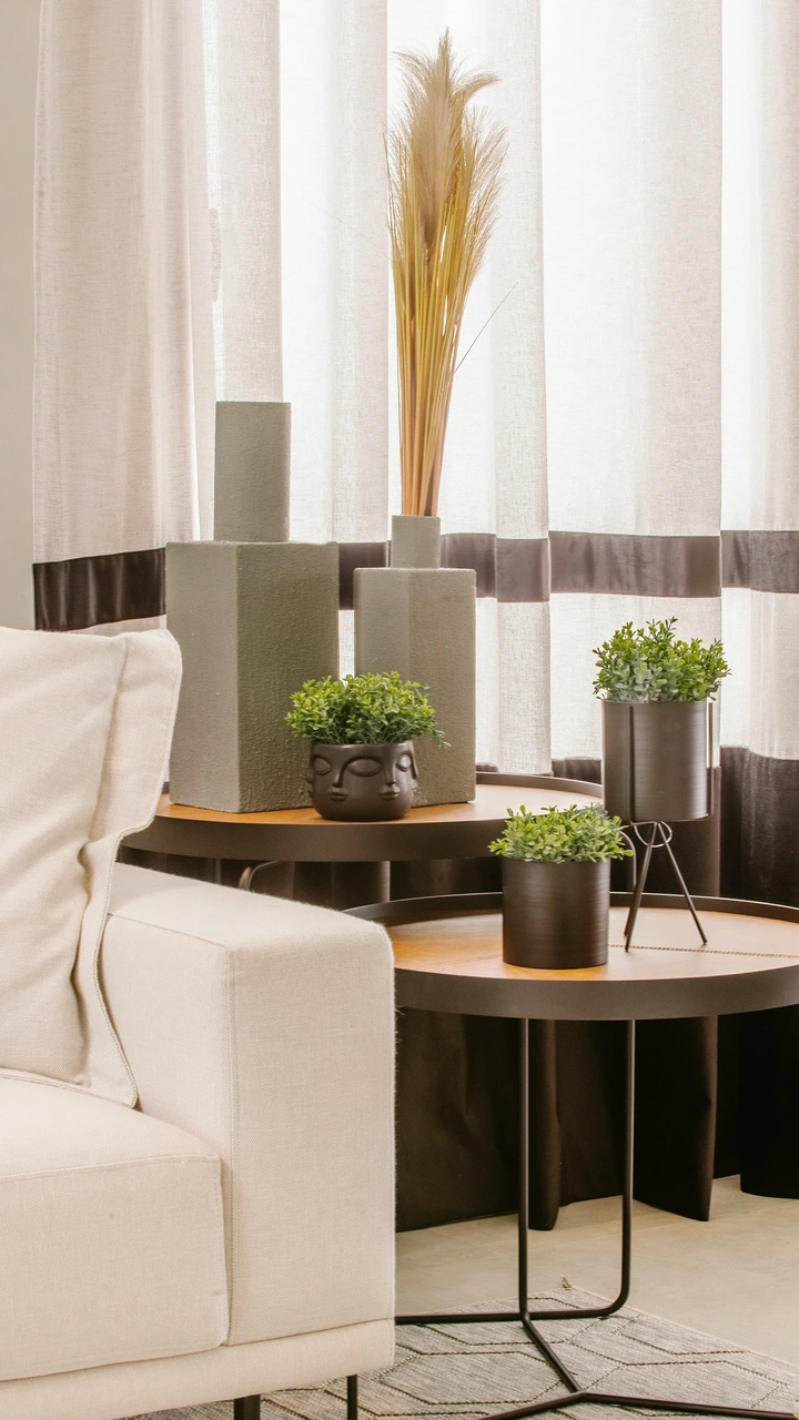 如何巧用绿植营造出家居氛围感?