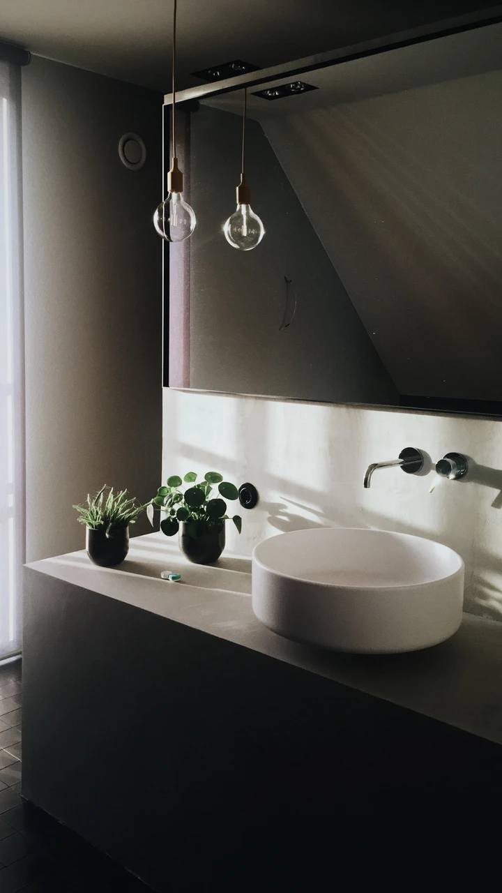 如何巧用绿植营造出家居氛围感?