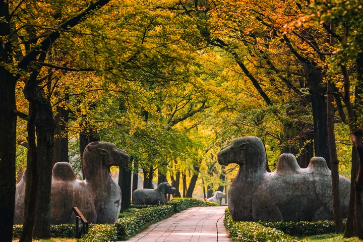 有一种夏天叫南京