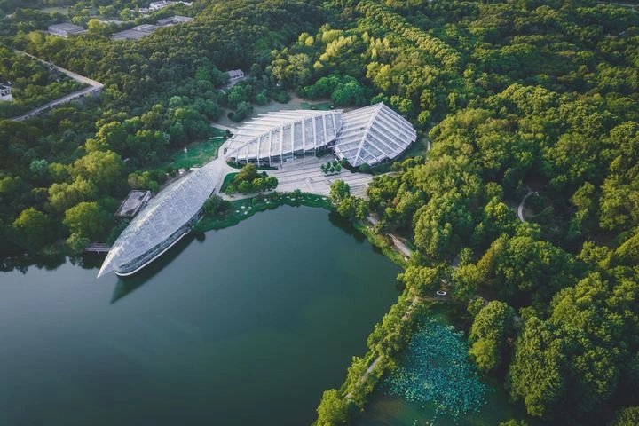 有一种夏天叫南京