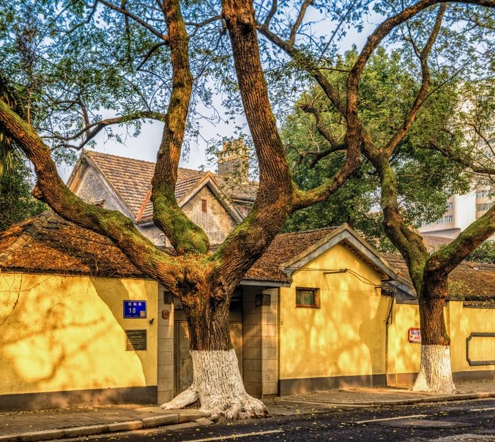 有一种夏天叫南京