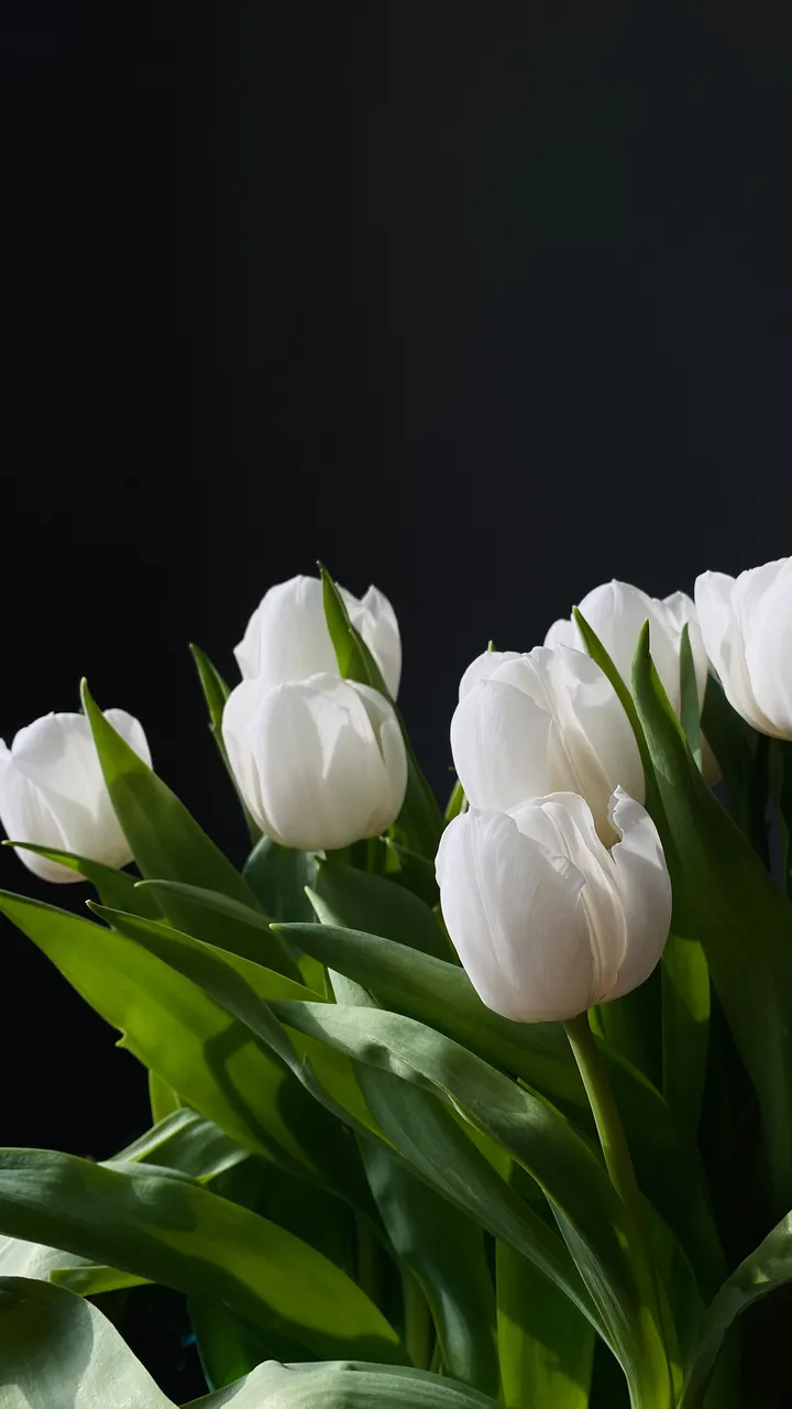 花束包装纸怎么选?