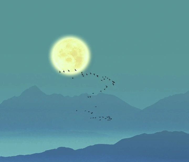 《非暴力沟通》让你赢得人际交往的主动权!